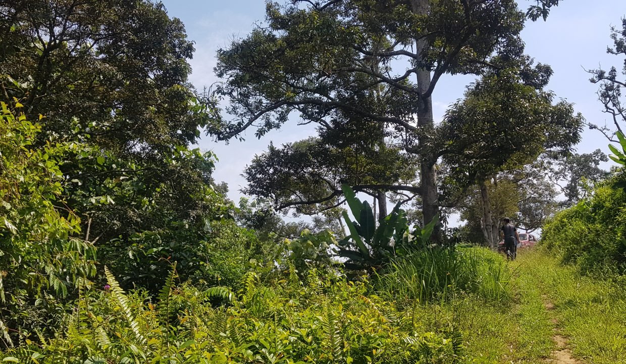 20190525_112930