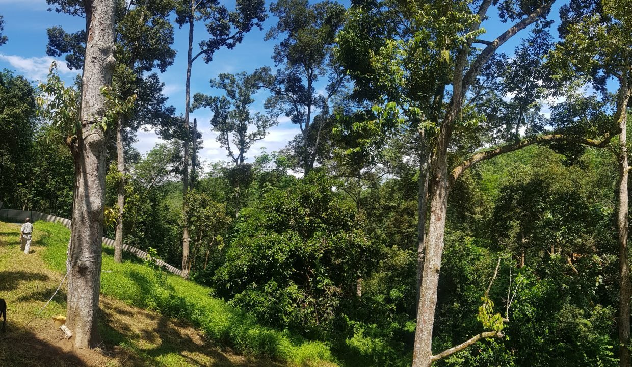 20190615_124002
