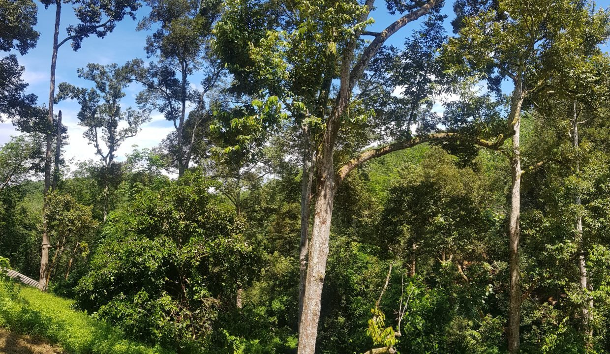 20190615_124021