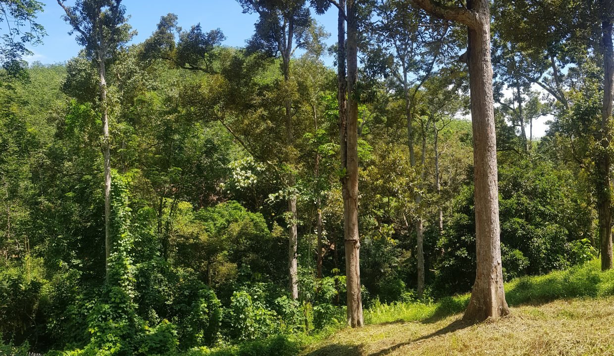 20190615_124149