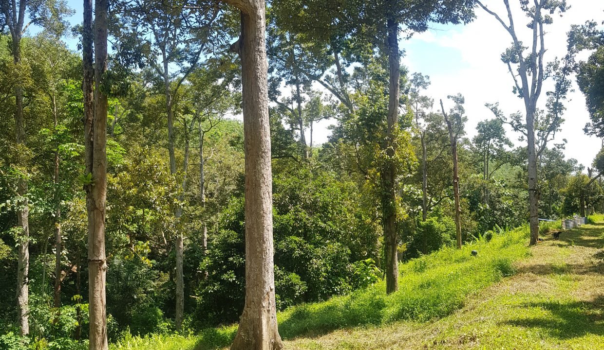 20190615_124156