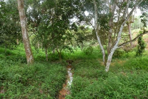 Jambu-Rias-1p3-acres-stream