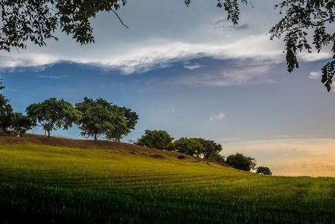 Leisure farm rolling hills