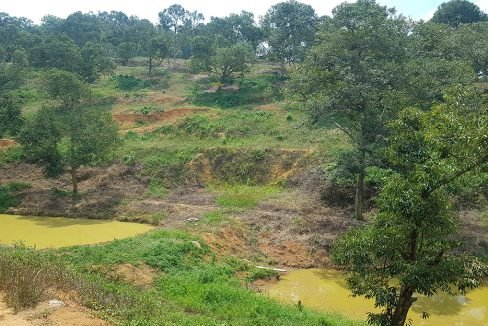 Dong durian orchard ponds