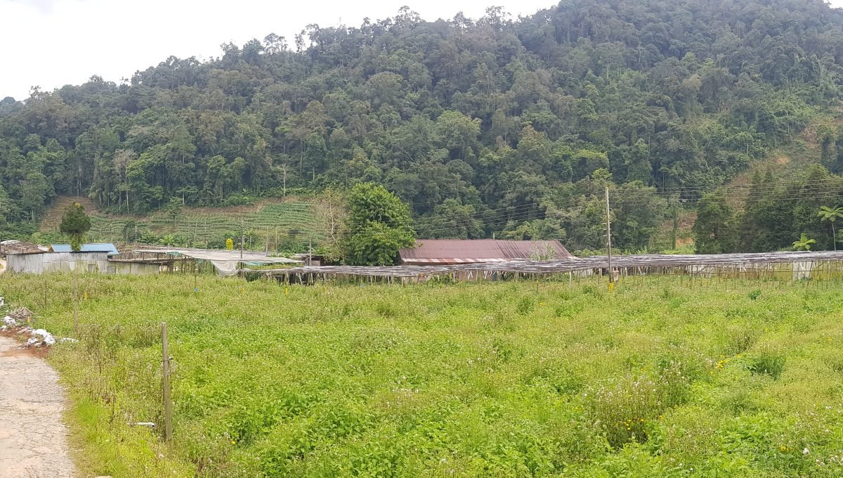 Cameron Highlands, Pahang 12 acres Freehold Beautiful Farm Land [SOLD] Land for Sale in Malaysia
