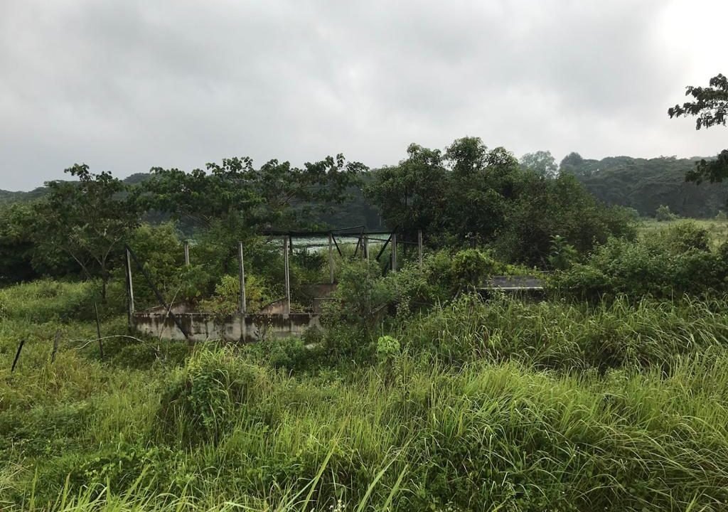 Batu Gajah 2 acres Freehold fish farm (1)