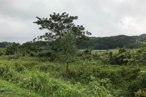 Batu Gajah 2 acres Freehold fish farm (4)