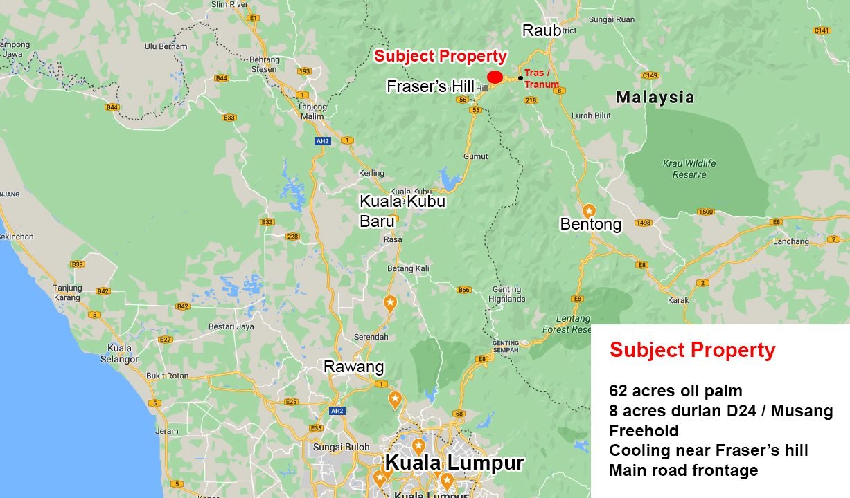 Bukit Fraser's 70 acres