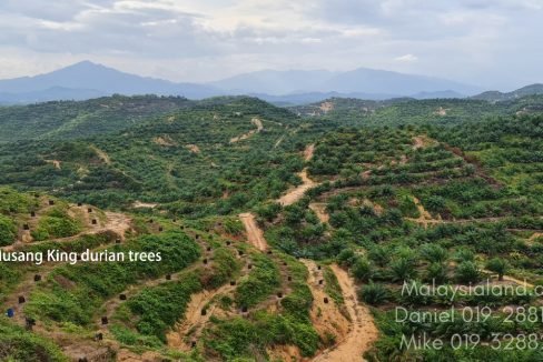 Gua Musang LK 2 - Edited