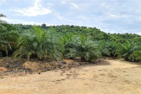 Gua Musang LK 3 - Edited