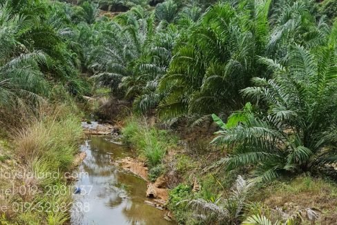 Gua Musang LK 4 - Edited