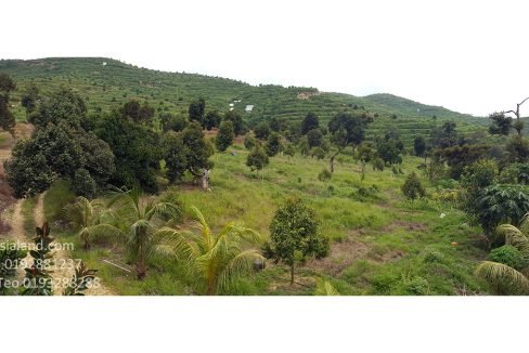 flat land along main road