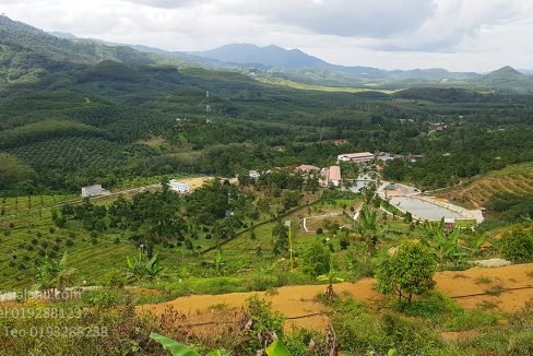 neighbouring resort