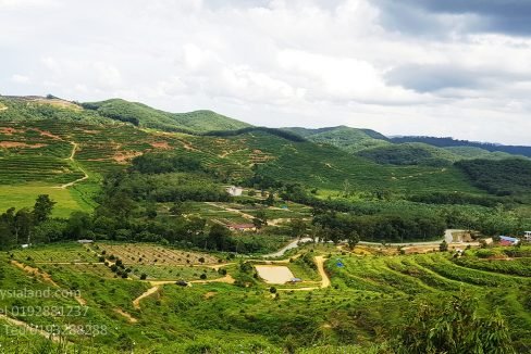 view from hill top 2