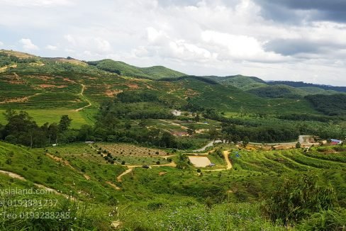 view from hill top