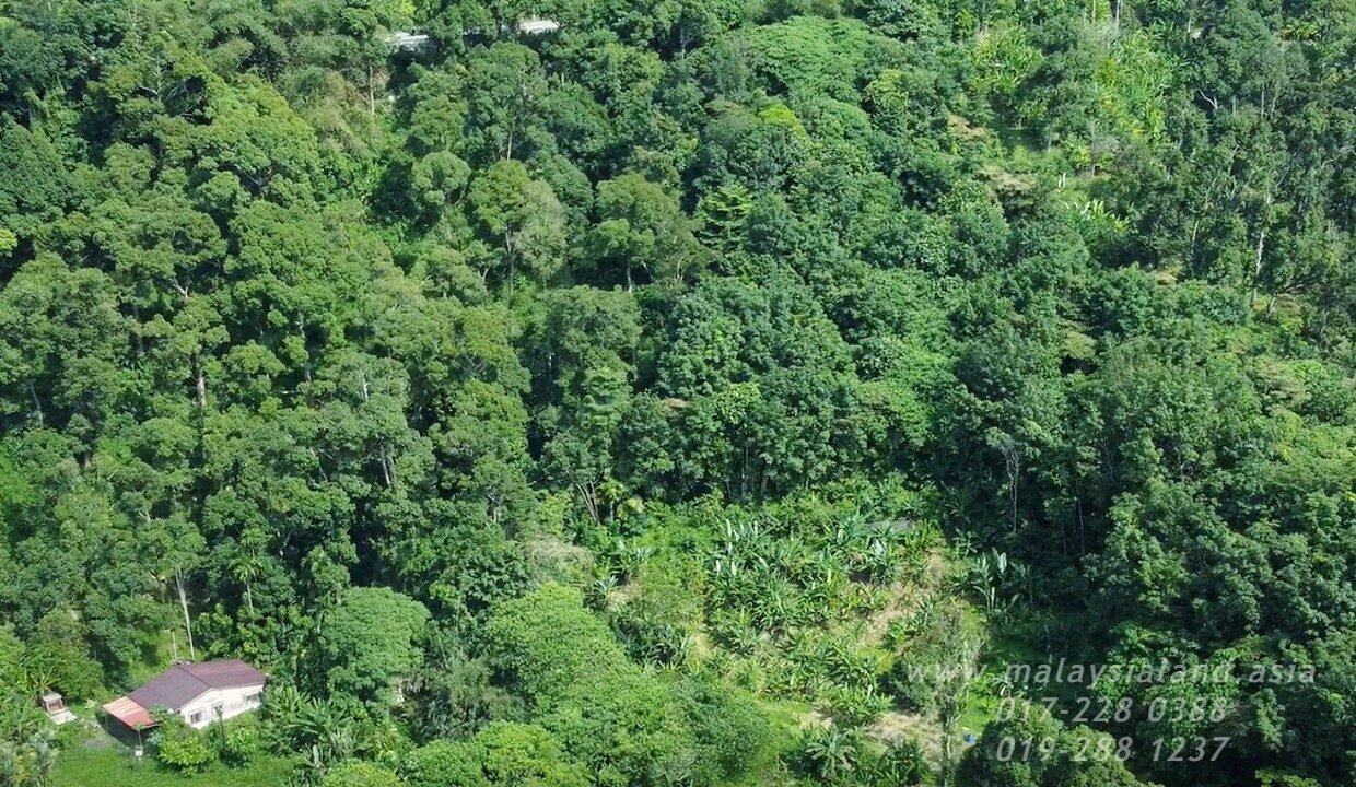 Website - Balik Pulau 3.1 ac 1