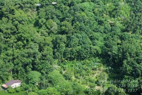 Website - Balik Pulau 3.1 ac 1