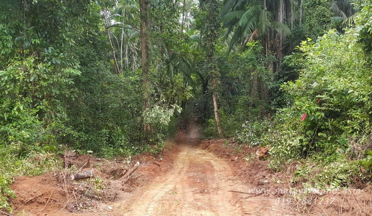 Website - Rompin Beach 1