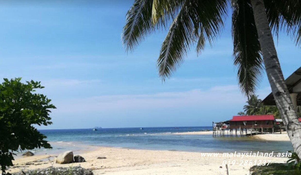 Website - Tioman 5