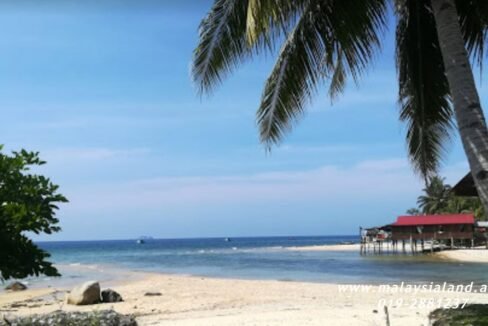 Website - Tioman 5