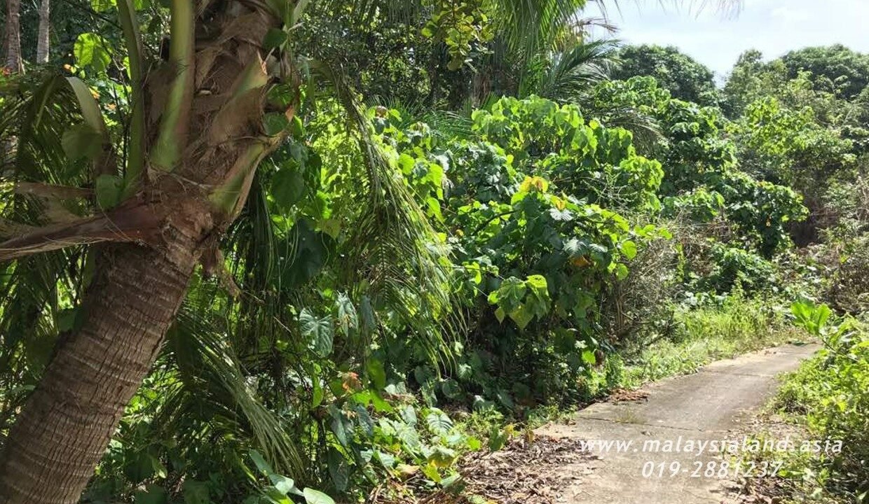 Website - Tioman 7