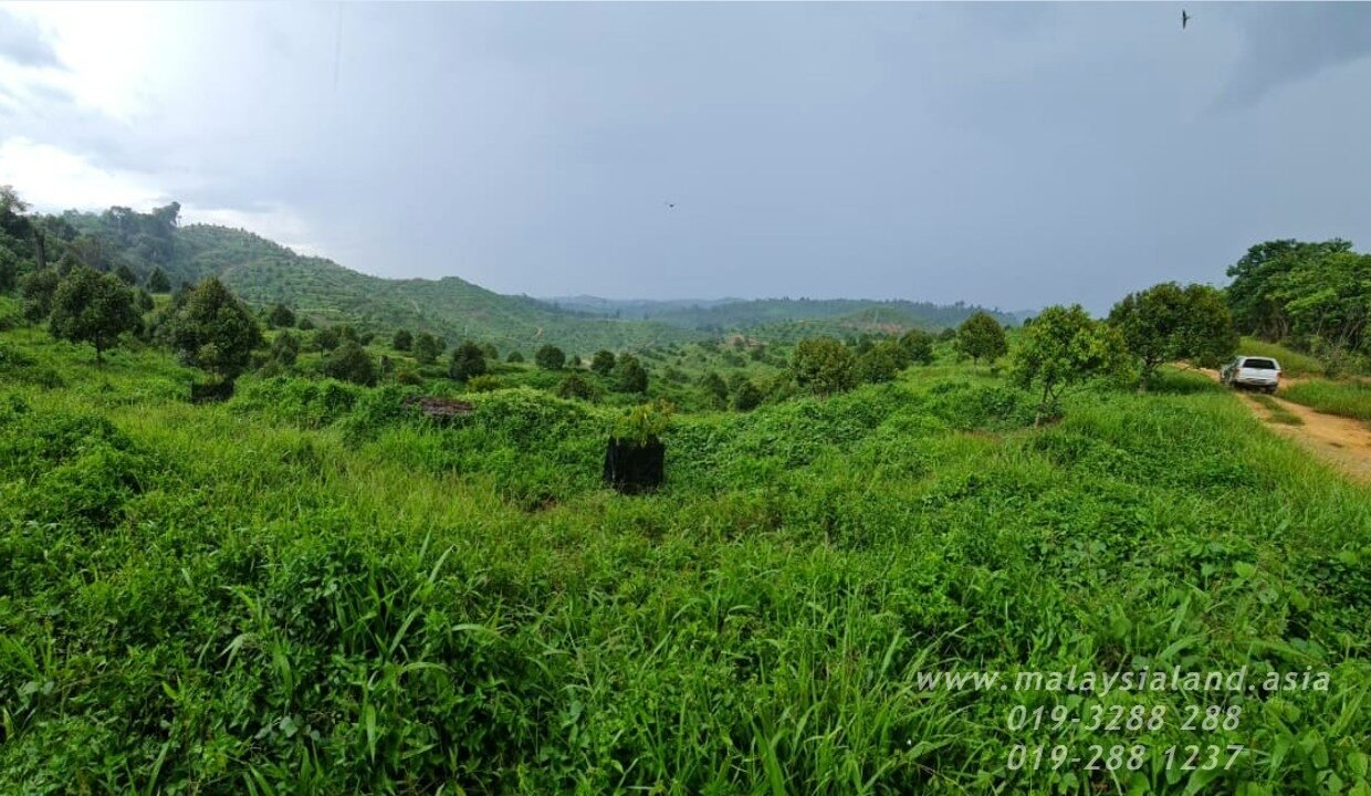 Website - Ulu Dong 2