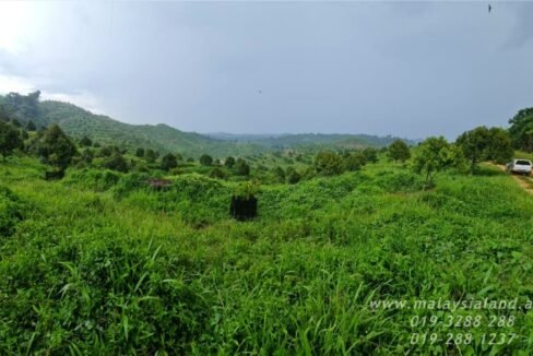 Website - Ulu Dong 2