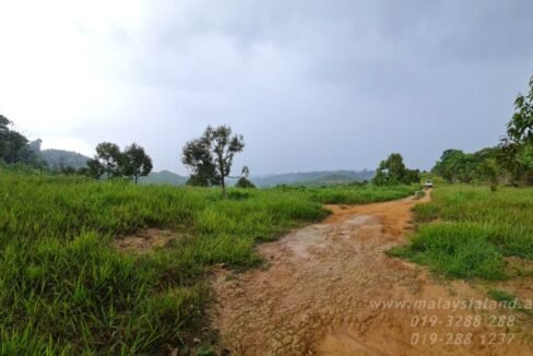 Website - Ulu Dong 6