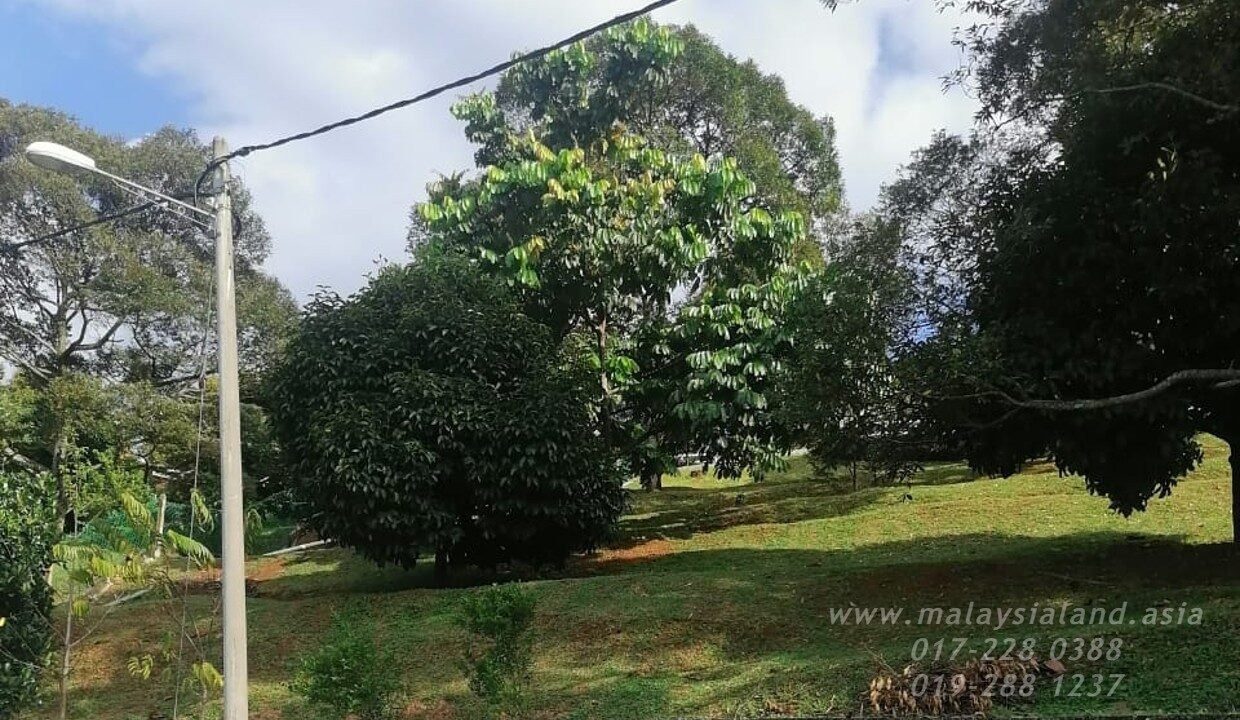 Website - Tapah 1ac 1