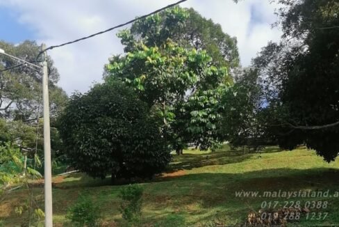 Website - Tapah 1ac 1