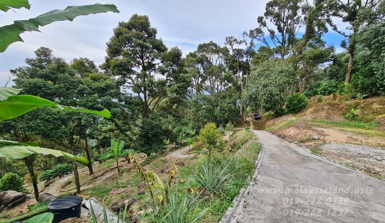 Website - Balik Pulau 2 ac 1