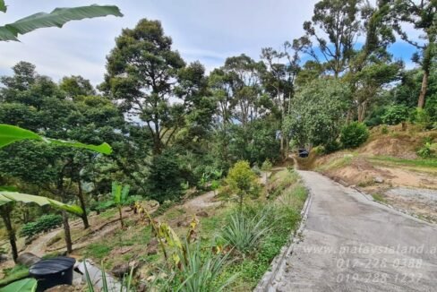 Website - Balik Pulau 2 ac 1