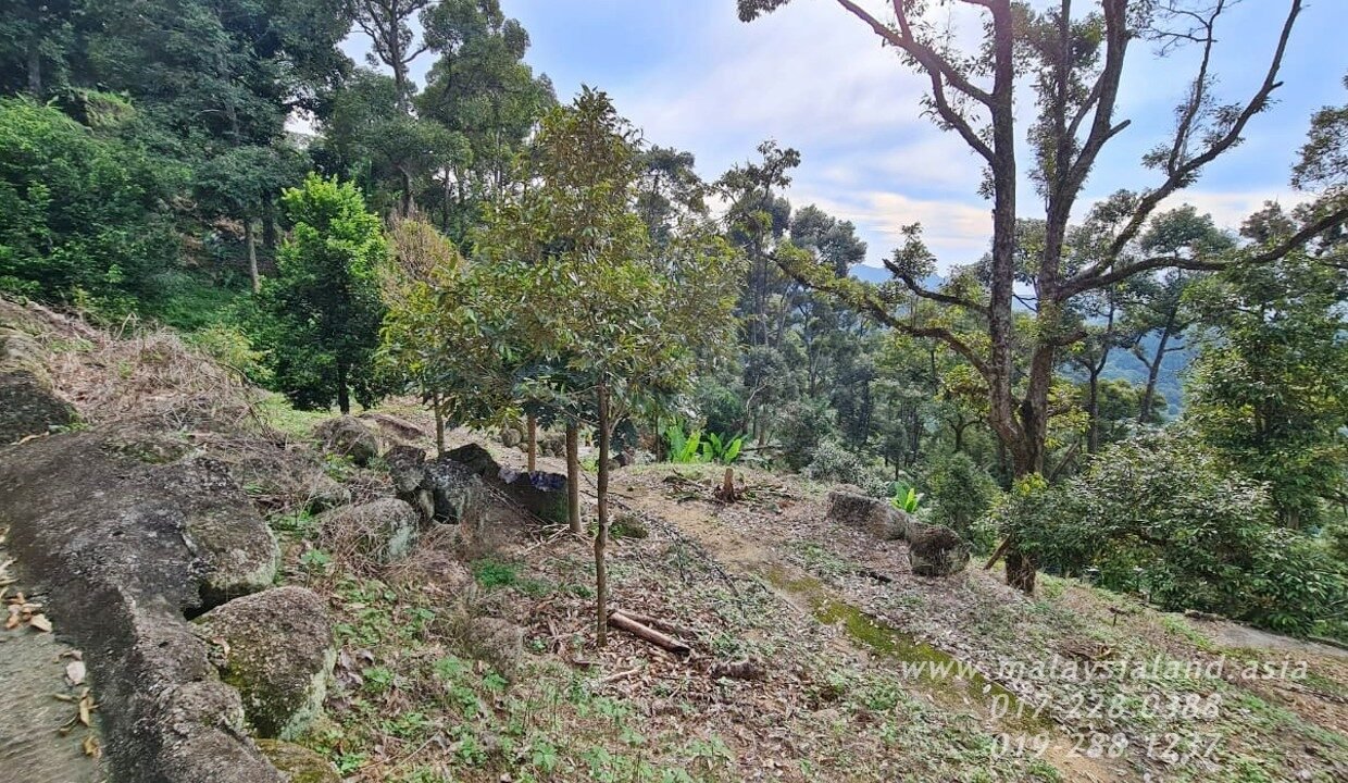 Website - Balik Pulau 2 ac 2