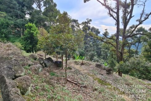 Website - Balik Pulau 2 ac 2
