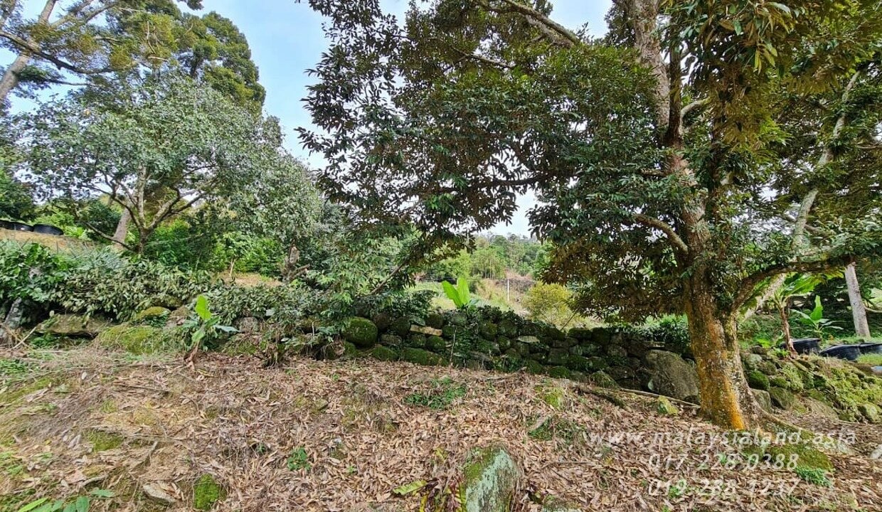 Website - Balik Pulau 2 ac 3
