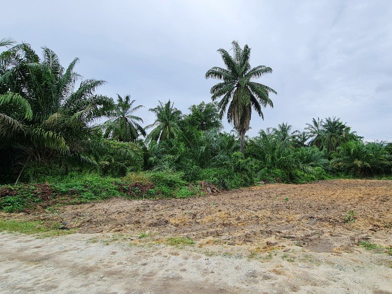 Sitiawan, Perak – 3 acres Freehold Agriculture  Land (Potential for Industrial)