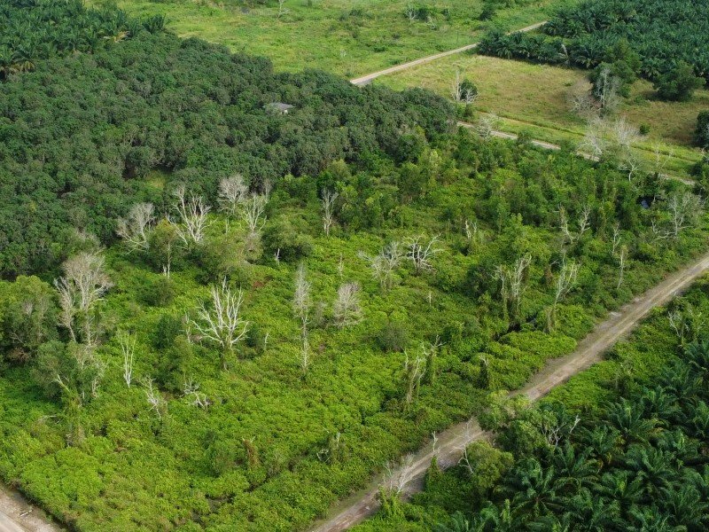 Pengerang, Johor 6.3 acres Freehold Agriculture Land (Zoning