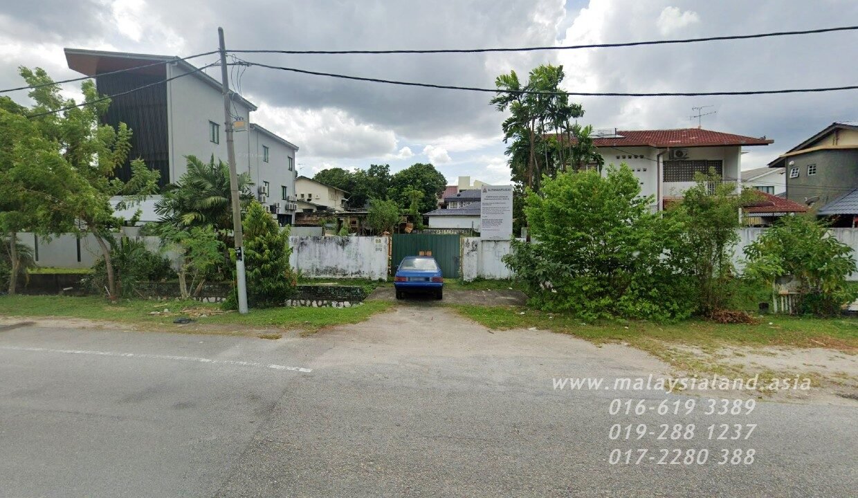 Website(3)