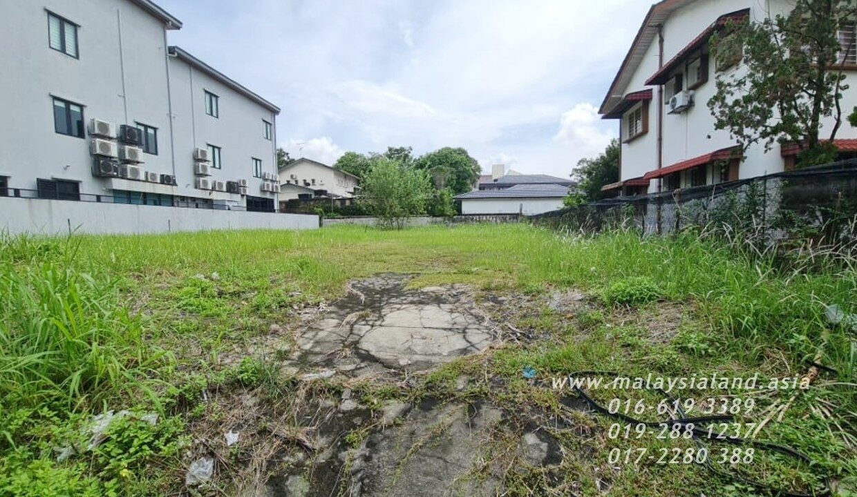 Website(4)