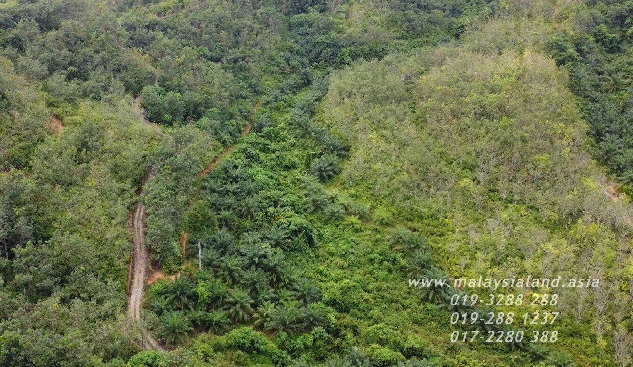Website 2