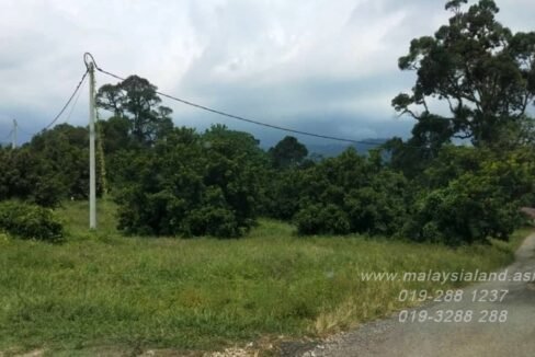 Website - Good road access with TNB electricity