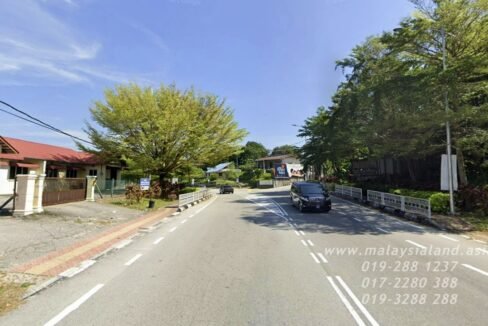 Website(3)