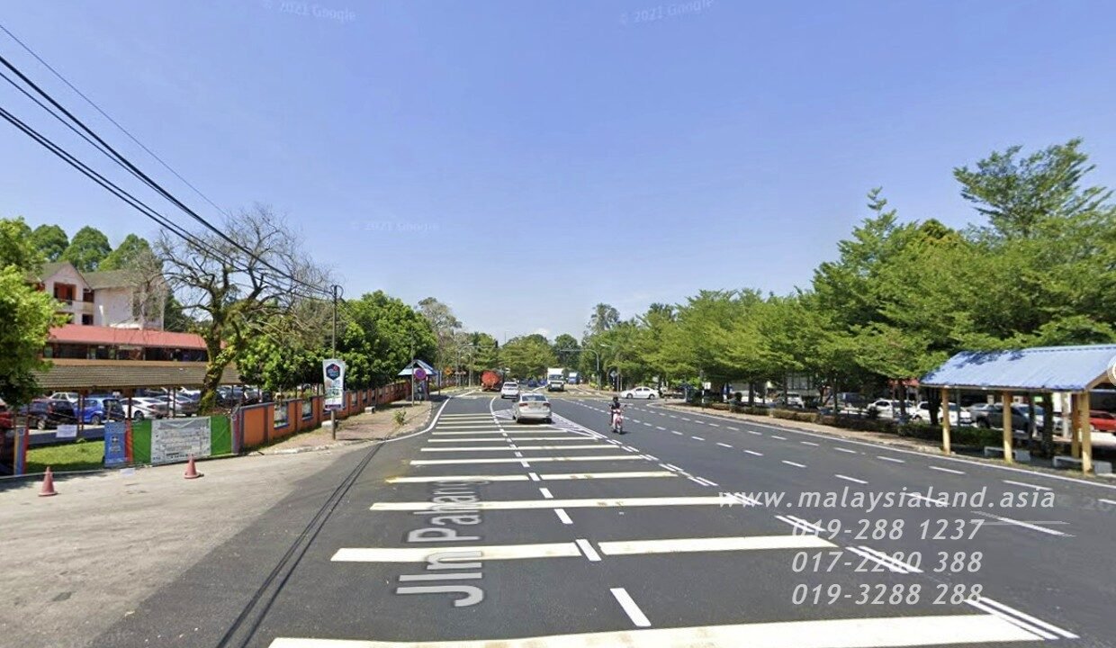 Website(4)