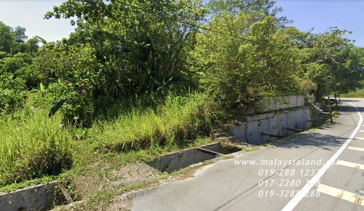 Website(5)