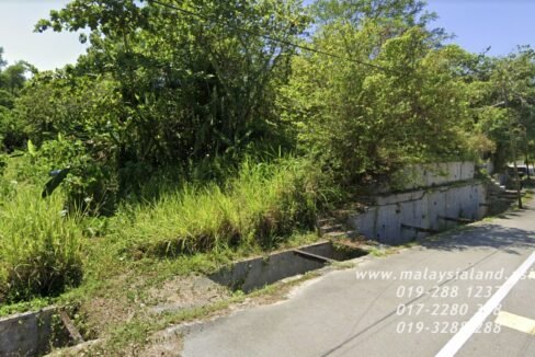 Website(5)
