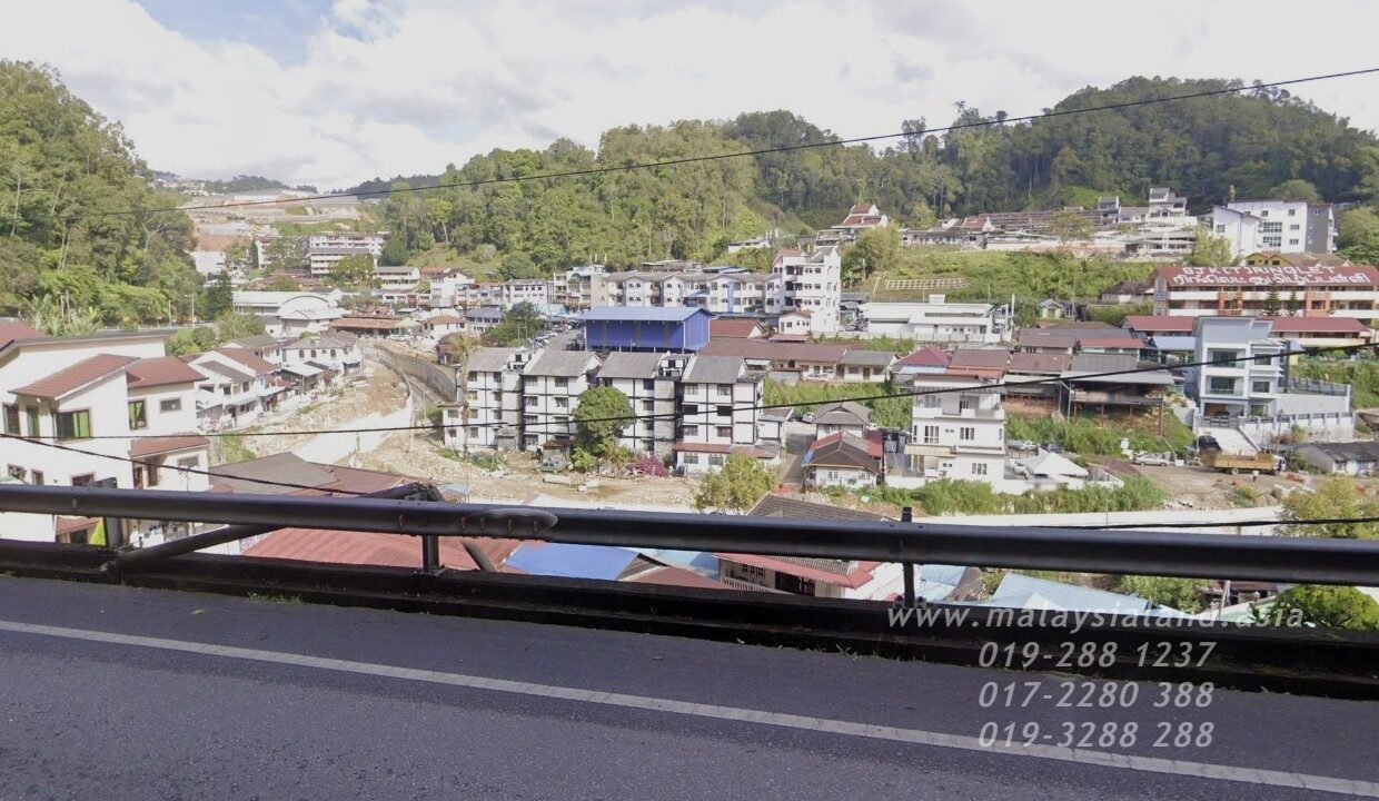 Website(7)