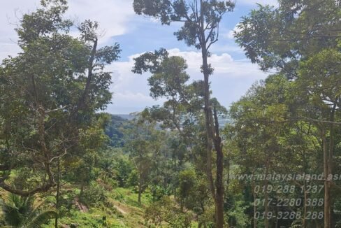Website - Balik Pulau 7 acres - 2