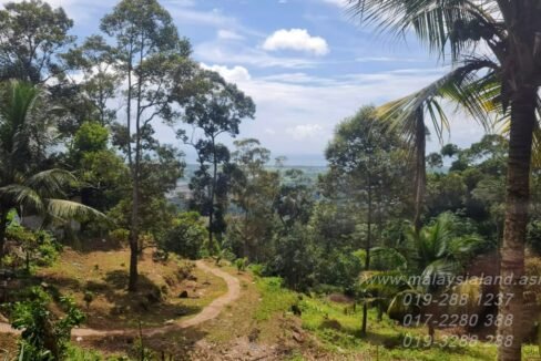 Website - Balik Pulau 7 acres - 3