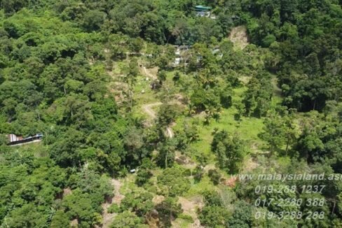 Website - Balik Pulau 7 acres - 4