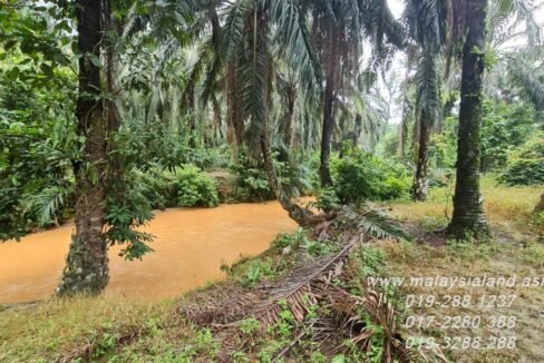 Website - Padang Gajah 11.5 acres - 1